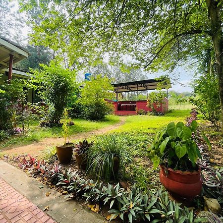 Wild Valley Club Masinagudi Exterior photo