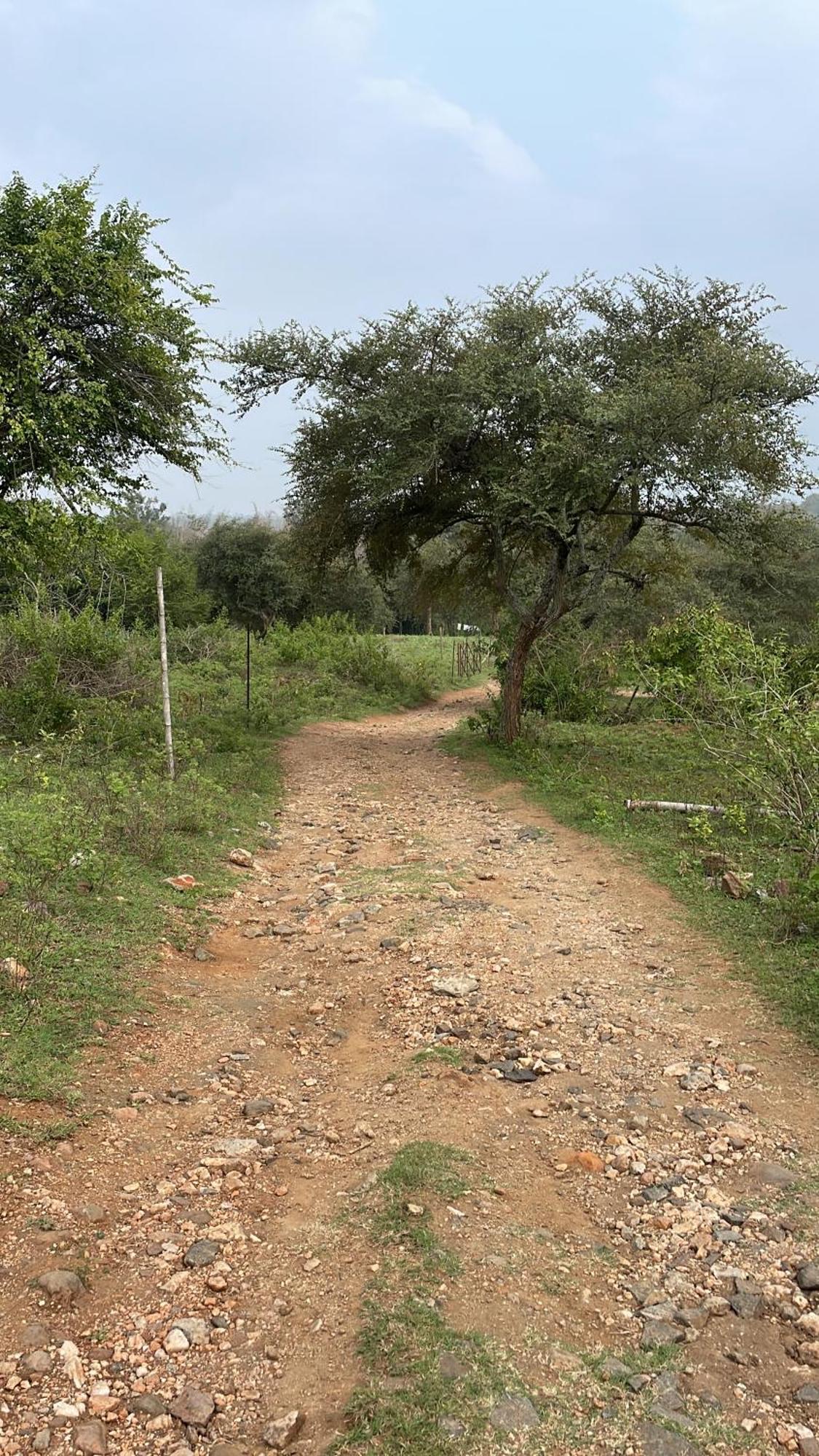 Wild Valley Club Masinagudi Exterior photo