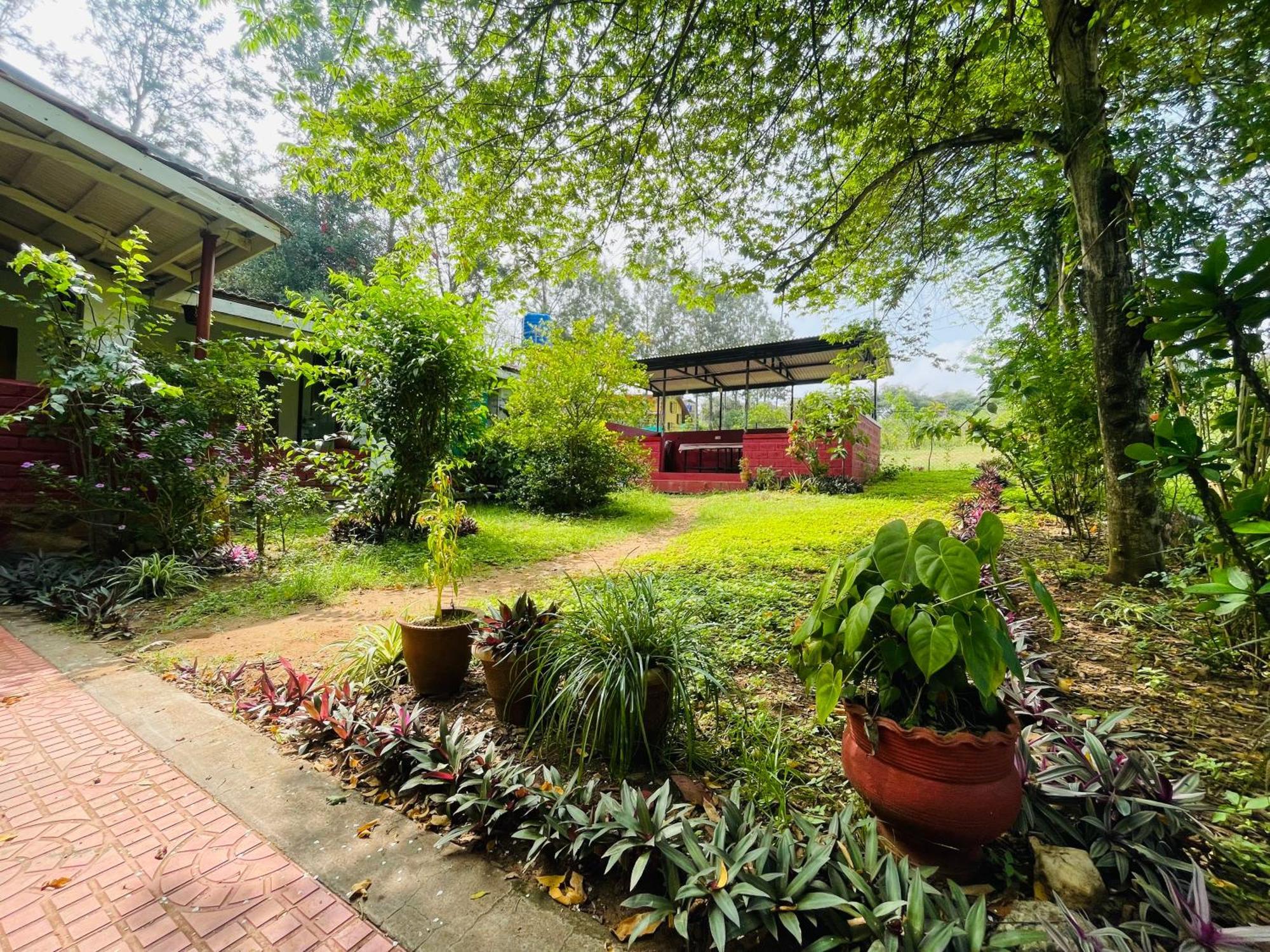 Wild Valley Club Masinagudi Exterior photo